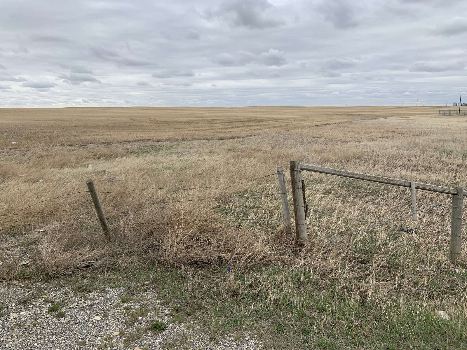 Proposed fire hall site, undeveloped prairie parcel, April 2024